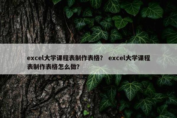 excel大学课程表制作表格？ excel大学课程表制作表格怎么做？