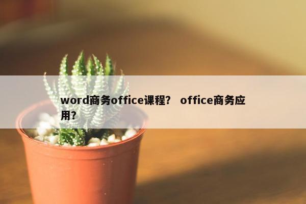 word商务office课程？ office商务应用？