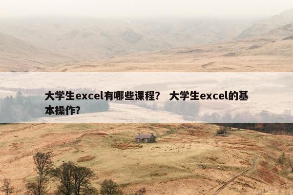 大学生excel有哪些课程？ 大学生excel的基本操作？