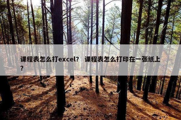 课程表怎么打excel？ 课程表怎么打印在一张纸上？