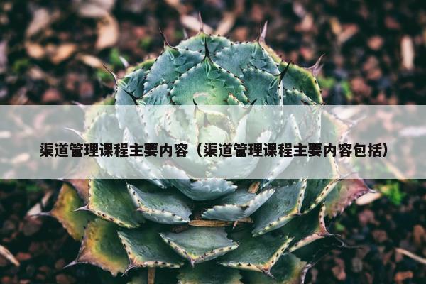 渠道管理课程主要内容（渠道管理课程主要内容包括）