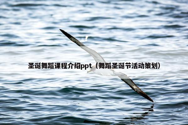 圣诞舞蹈课程介绍ppt（舞蹈圣诞节活动策划）