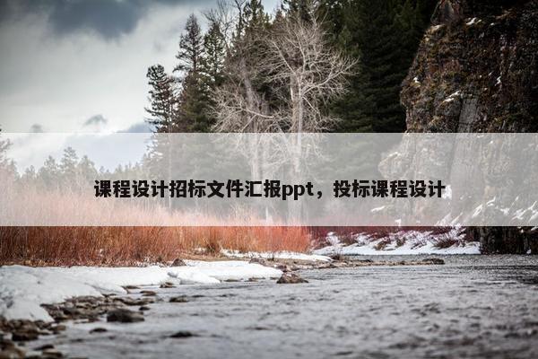 课程设计招标文件汇报ppt，投标课程设计